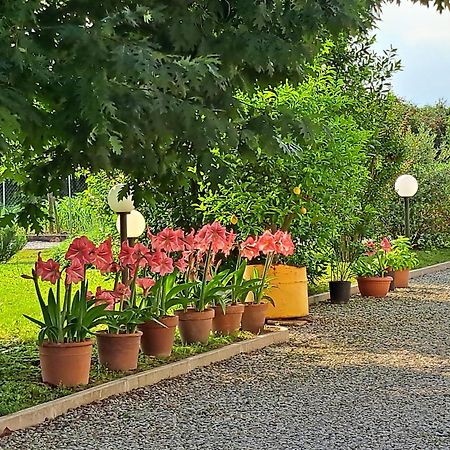 فندق Borgo Barucchella Sant'Andra المظهر الخارجي الصورة