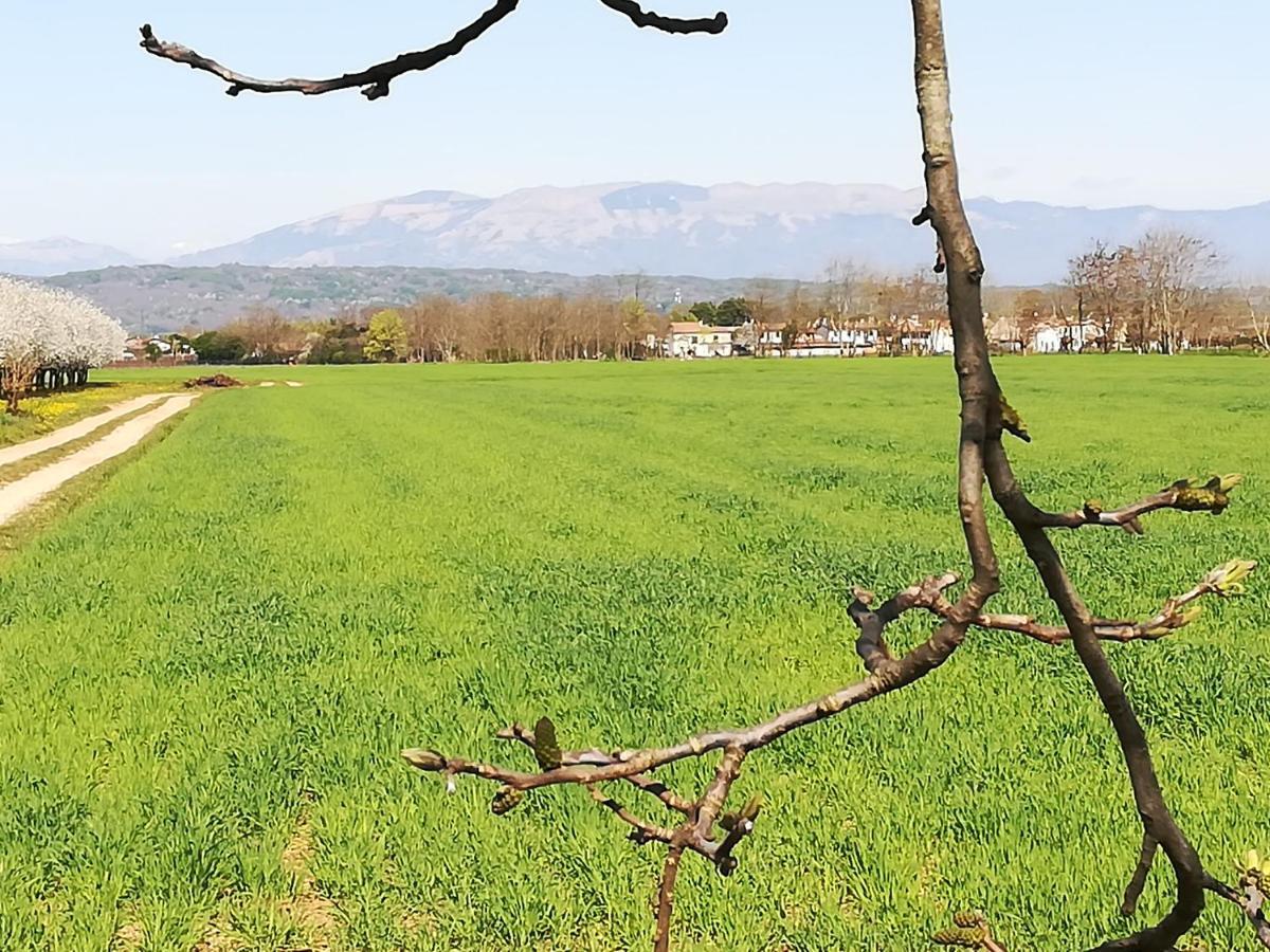 فندق Borgo Barucchella Sant'Andra المظهر الخارجي الصورة