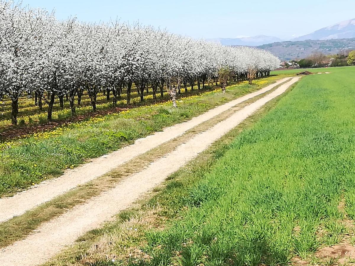 فندق Borgo Barucchella Sant'Andra المظهر الخارجي الصورة