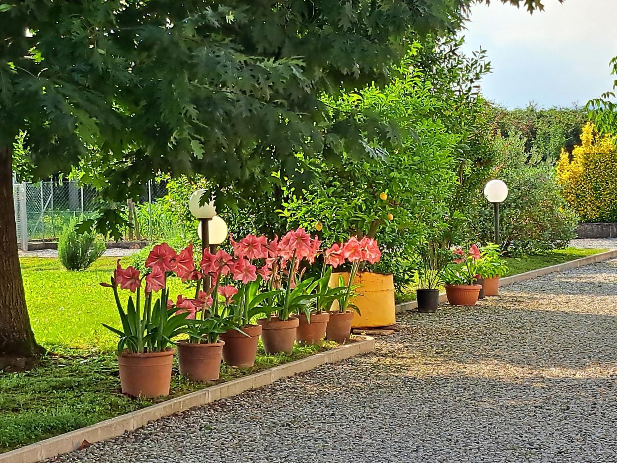 فندق Borgo Barucchella Sant'Andra المظهر الخارجي الصورة