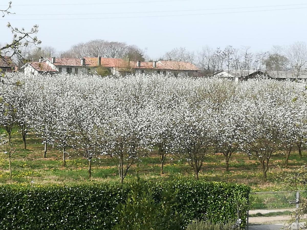 فندق Borgo Barucchella Sant'Andra المظهر الخارجي الصورة